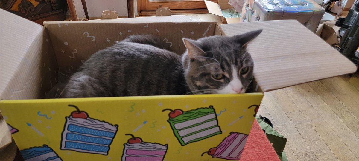 AlyssaWasTaken's tweet image. I just love my box and so do my cats!!!
You should get one for you and your furry friends.
share.fabfitfun.com/x/lnxwW9
#FabFitFun