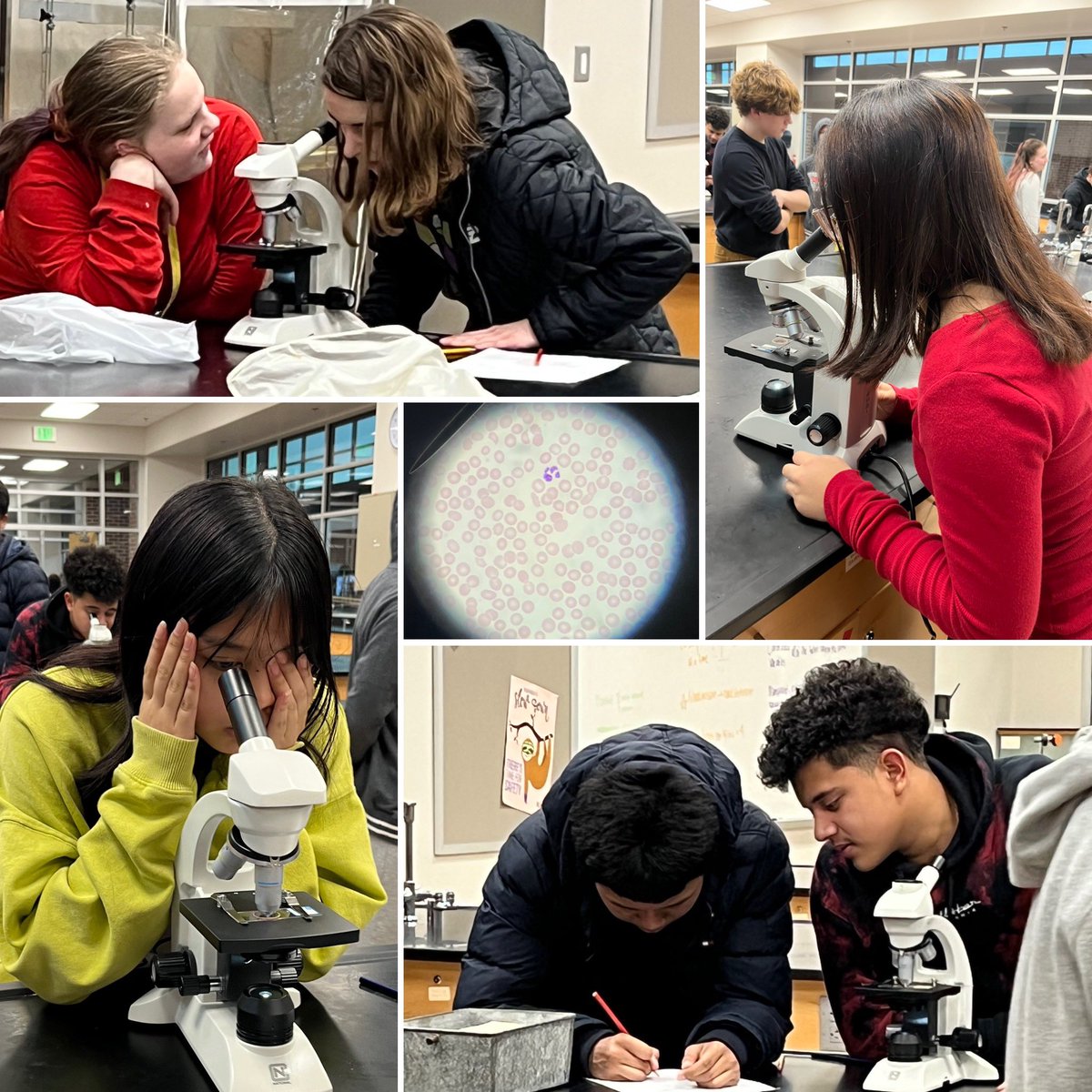 Biology students are learning about the components blood as they prepare for the <a href="/indianablood/">Versiti Blood Center of Indiana</a> Blood Drive on 3/14!