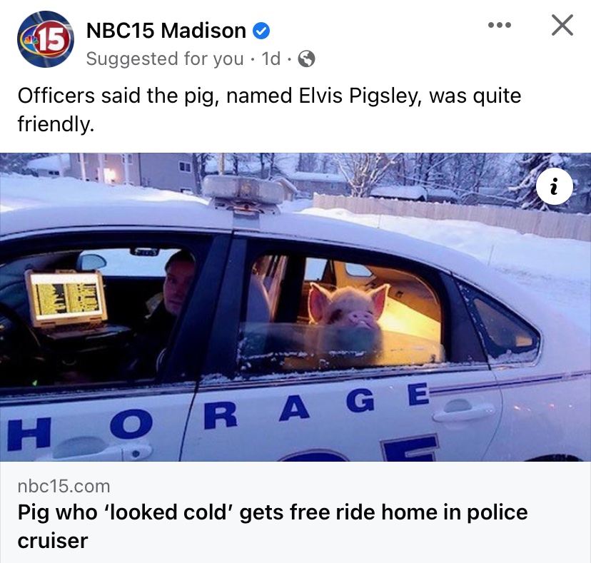 elikilometers's tweet photo. they only protect and serve their kind https://t.co/V1yE1JYTSo
