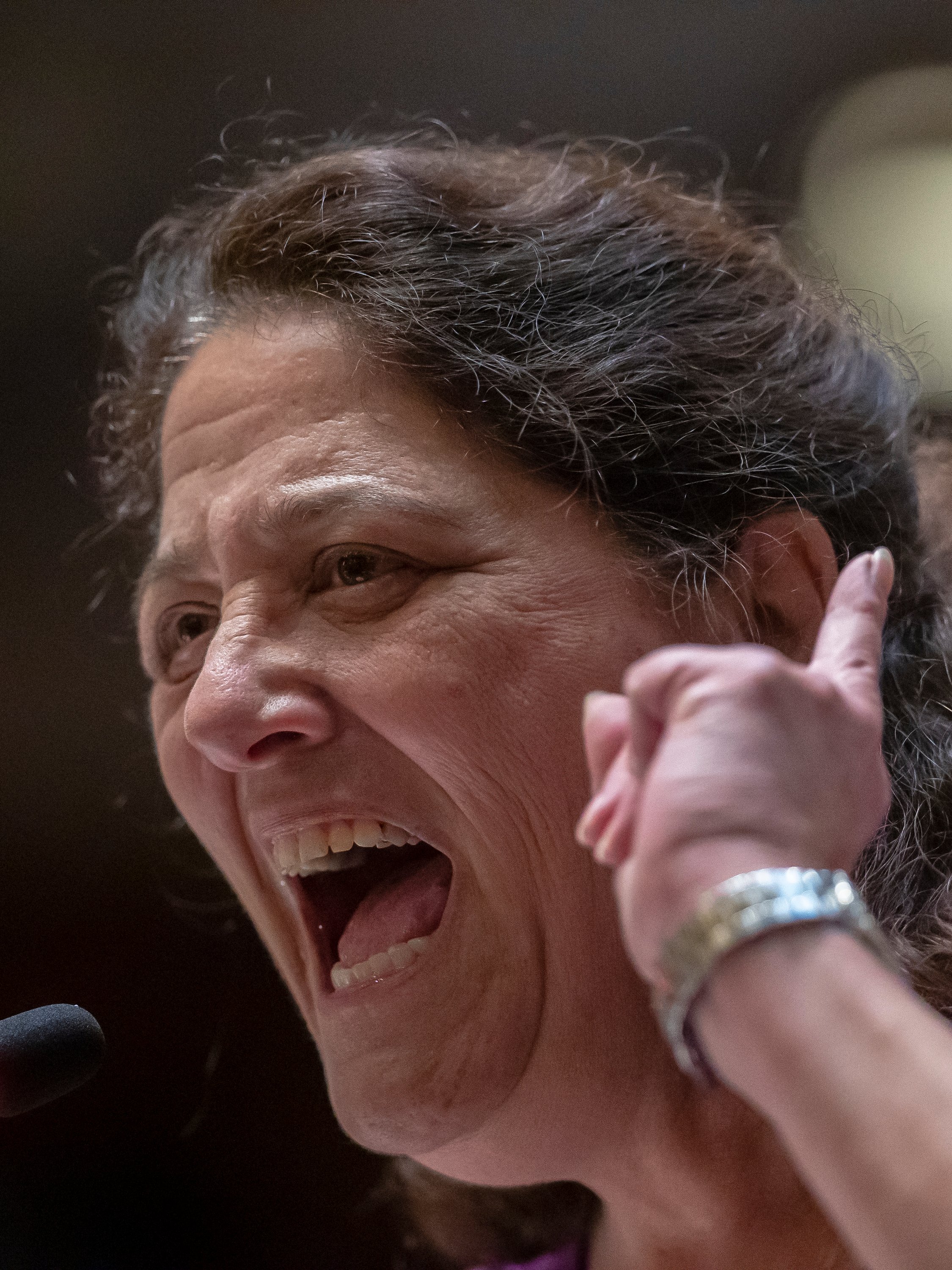 Ryan C. Hermens on Twitter "Kentucky Sen. Karen Berg reacts after SB
