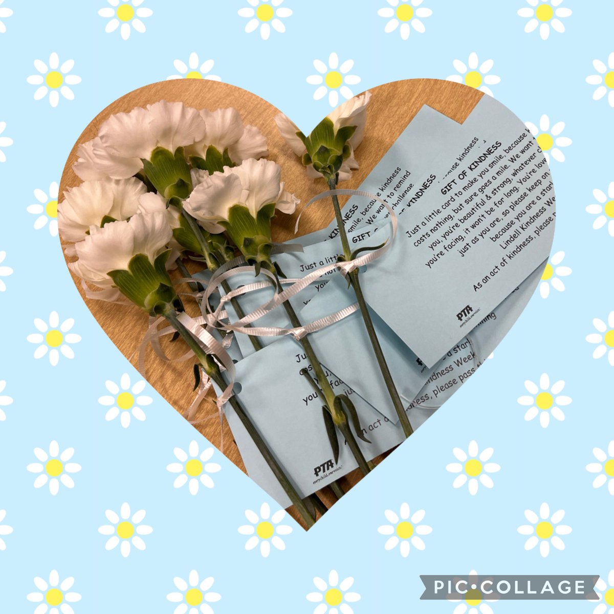 hpuckhaber23's tweet photo. Thank you to the @LindellPTA for the Gift of Kindness. There were so many smiles as we left today with our beautiful carnations! #KindnessWeek @Jennifer_LynnP @MsMcGovernLB https://t.co/sEEeTXrORJ