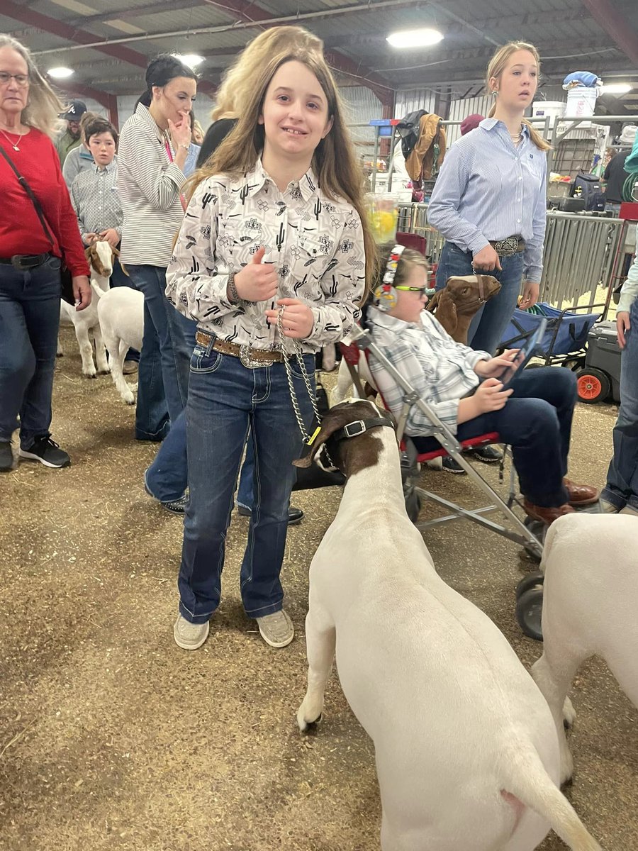 JoshuaISD's tweet photo. Congratulations to our Joshua FFA students who competed at the San Antonio Livestock Show!

Read more: https://t.co/3QZraku0YX

#TakeFlightJISD https://t.co/D3vIrhbhLd
