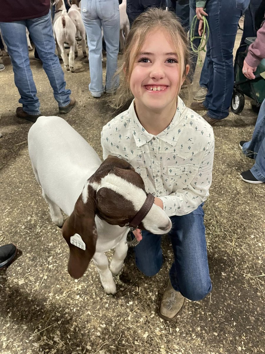 JoshuaISD's tweet photo. Congratulations to our Joshua FFA students who competed at the San Antonio Livestock Show!

Read more: https://t.co/3QZraku0YX

#TakeFlightJISD https://t.co/D3vIrhbhLd