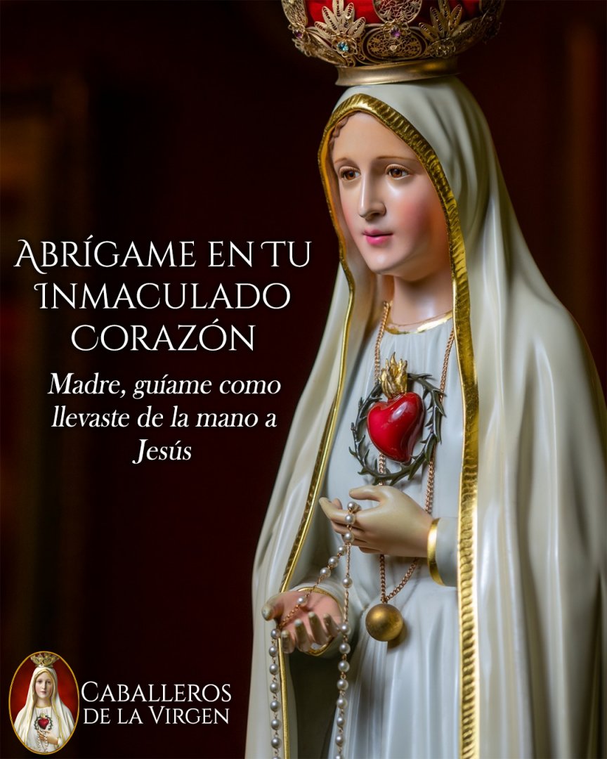Abrígame en Tu Inmaculado Corazón
Madre, guíame como llevaste de la mano a Jesús