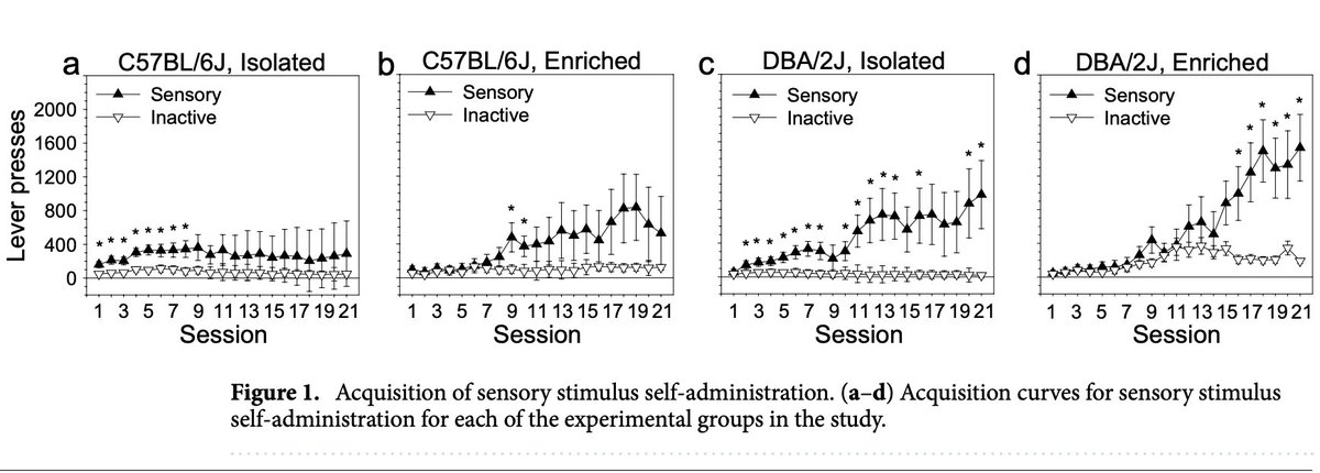 Deranda Lester tweet media