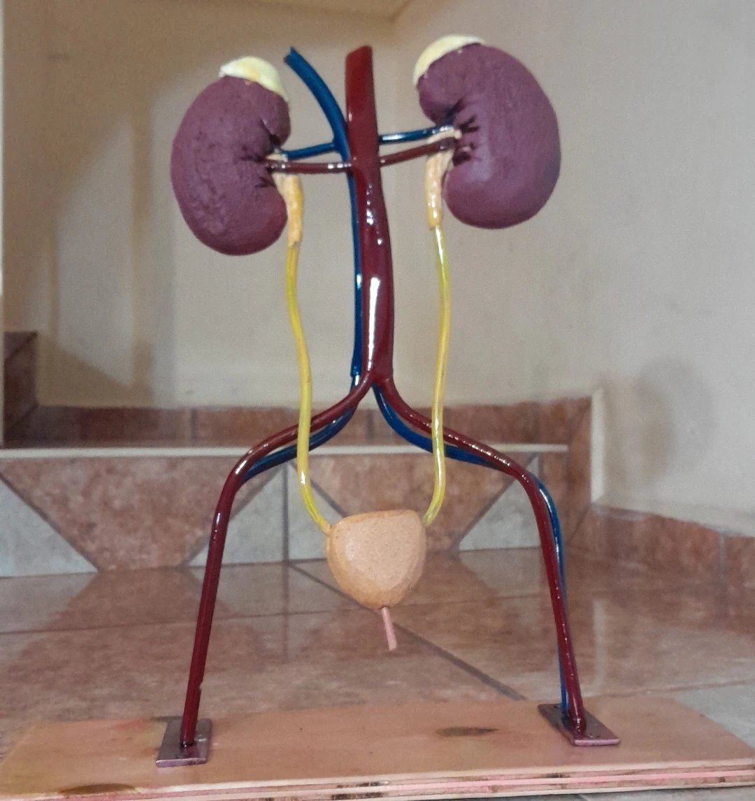 melgp0's tweet image. Mi papá esta estudiando y hoy le tocó exponer. No saben lo emocionado q ha estado y todo el amor y ganas q le puso a su trabajo. Llega hoy muy triste porque sus compañeros lo trataron mal durante su exposición
Neta q coraje q sientan q se pueden burlar de él solo pq es más grande