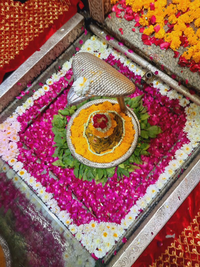 mksanalytiq's tweet photo. कावेरिकानर्मदयोः पवित्रे समागमे सज्जनतारणाय ।
सदैव मांधातृपुरे वसंतं ॐकारमीशं शिवमेकमीडे ॥

श्री ॐकारेश्वर ज्योतिर्लिंग जी के आज के मंगला आरती श्रृंगार दिव्य दर्शन 17.02.2023 https://t.co/qWNerrBraU