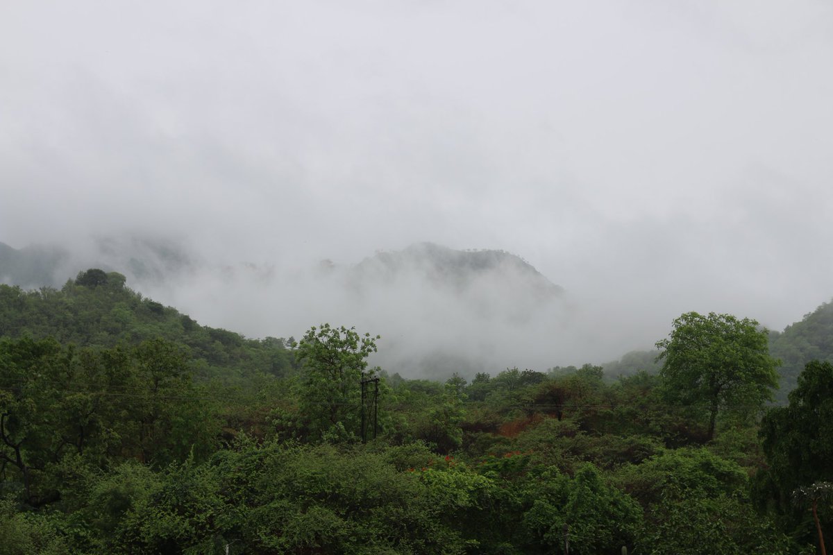 All you have to do today is start. Don't worry about how far you'll go. Just start.