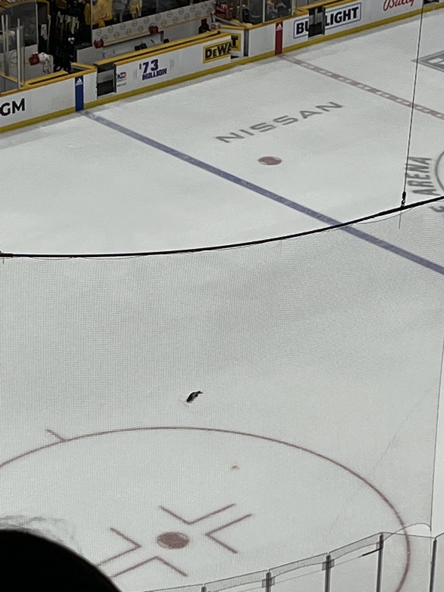 Gus Elvin on Twitter "We have a fish on the ice in Nashville"