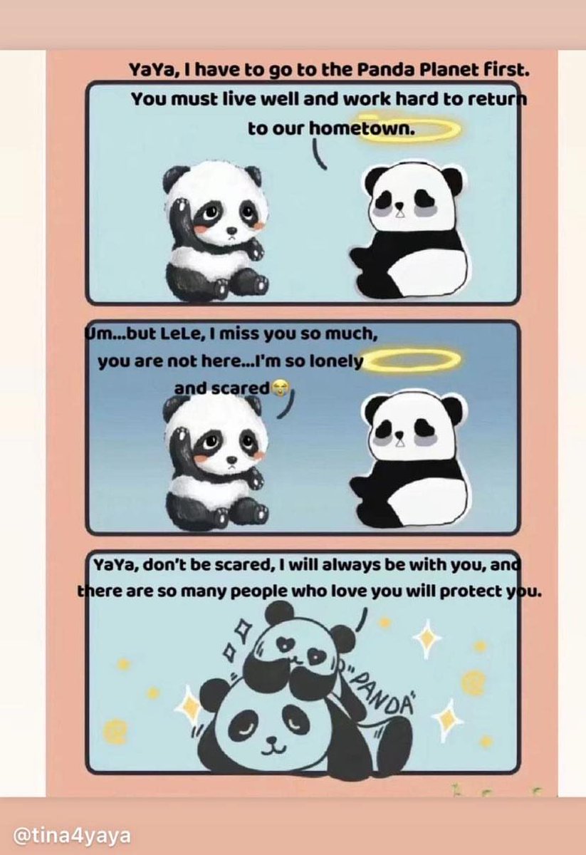 PandaVoicesOrg's tweet photo. A touching drawing from a panda fan, that like the whole world is heartbroken with all the sad situation LeLe and YaYa face at the @MemphisZoo . LeLe is our angel that will guide YaYa to their home in China! #JUSTICEFORLELE #SAVEYAYA #RETURNYAYAHOME https://t.co/2xR6LLZWcC