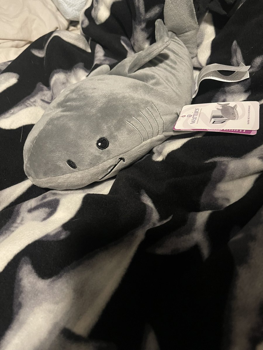 eleoffline's tweet photo. shark https://t.co/9beFihR6Ss