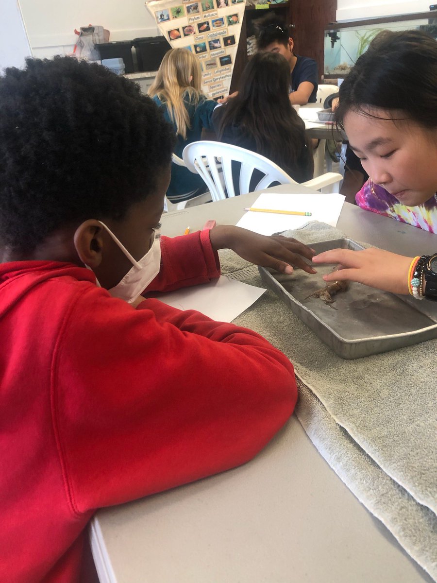 GlenwoodGator's tweet photo. What a fun-filled day at #SoundtoSea23! From squid dissections to exploring Bogue Sound, it’s been an incredible time! @chccs #gmesexplore https://t.co/G1rm7v2lfk