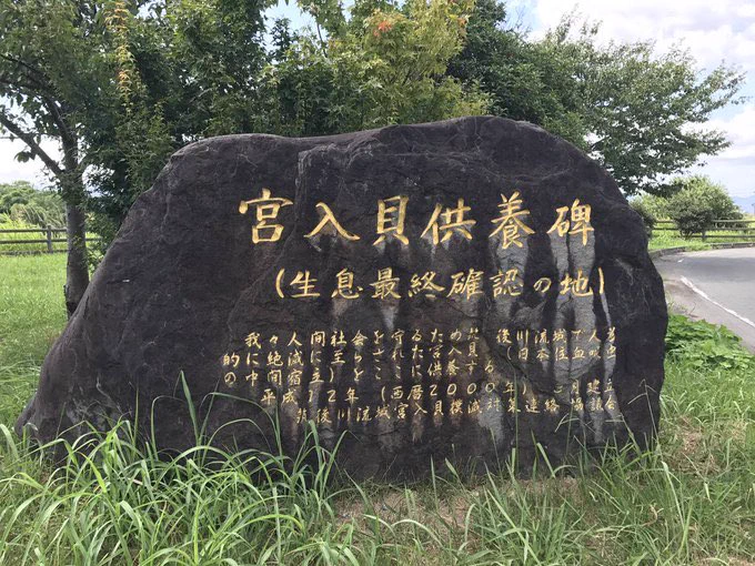 日本人は今まで、人間のために命を落とした者や、壊れた物などをたくさん供養してきた。例えば、筑後川沿いの久留米市宮ノ陣（福岡県）には「宮入貝供養碑」があり、築地の波除神社には鮨ネタを供養した「玉子塚」「活魚塚」「すし塚」がある。アース製薬の「虫供養」もこれと同じだ。  