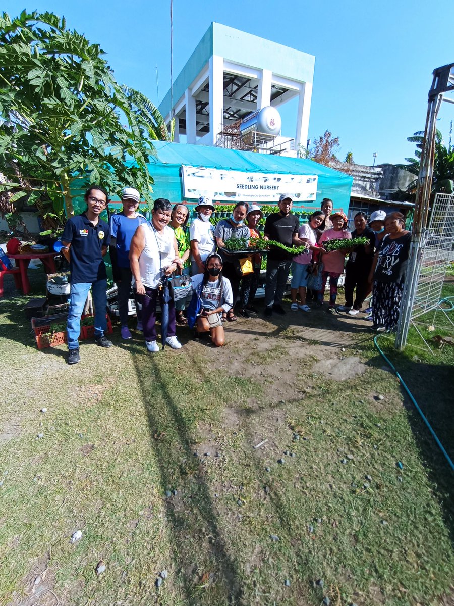 Farm mode earlier today. Brought our EKS. Haha. We've got strawberries blooming! Senior Citizens from Lodora Village were booked for a tour. We gave them seedlings of Siling Labuyo, Mustasa, and Pechay.

Nakita ko pa yung old cyclists malapit dito. 🥰
#UrbanFarming
#CityFarm