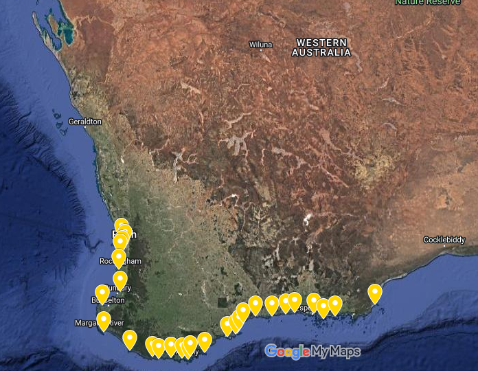 PWaryszak's tweet photo. I'm prepared & thrilled ahead of #WABlueFieldwork where Rory, @NoyanYilmaz & myself will be carrying-out plant & blue carbon surveys along the WA coastal ecosystems. Data from these surveys will inform future models & on-ground restoration actions to help tackling #ClimateChange https://t.co/ac9ClbjnF9