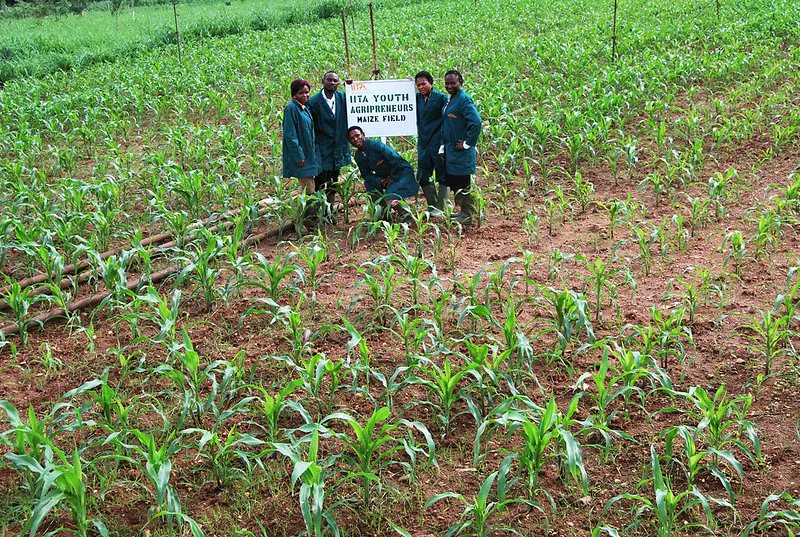 CGIAR tweet media
