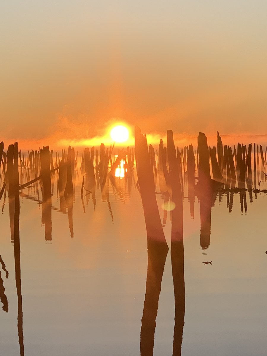 Chasing Giants (@opschief_bbp) on Twitter photo Sunrise in the land of Giants!
<a href="/Bassreaperbaits/">BassReaper Bait Co</a> <a href="/LiquidMayhem/">sky daniel</a> <a href="/Amphibiaeyegear/">Amphibia Eyegear</a> <a href="/AmericanTackle/">American Tackle Co.</a> Sunrise in the land of Giants!
<a href="/Bassreaperbaits/">BassReaper Bait Co</a> <a href="/LiquidMayhem/">sky daniel</a> <a href="/Amphibiaeyegear/">Amphibia Eyegear</a> <a href="/AmericanTackle/">American Tackle Co.</a>