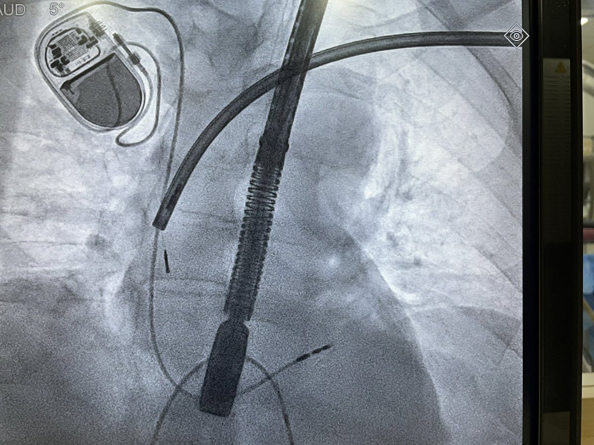 Karthigesan A M tweet media