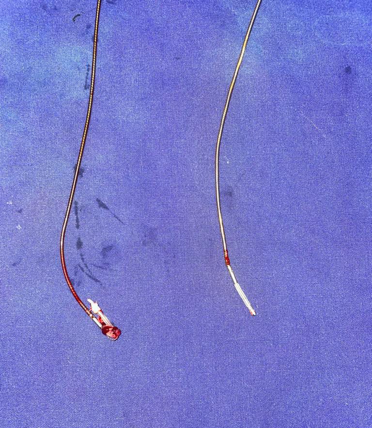 Karthigesan A M tweet media