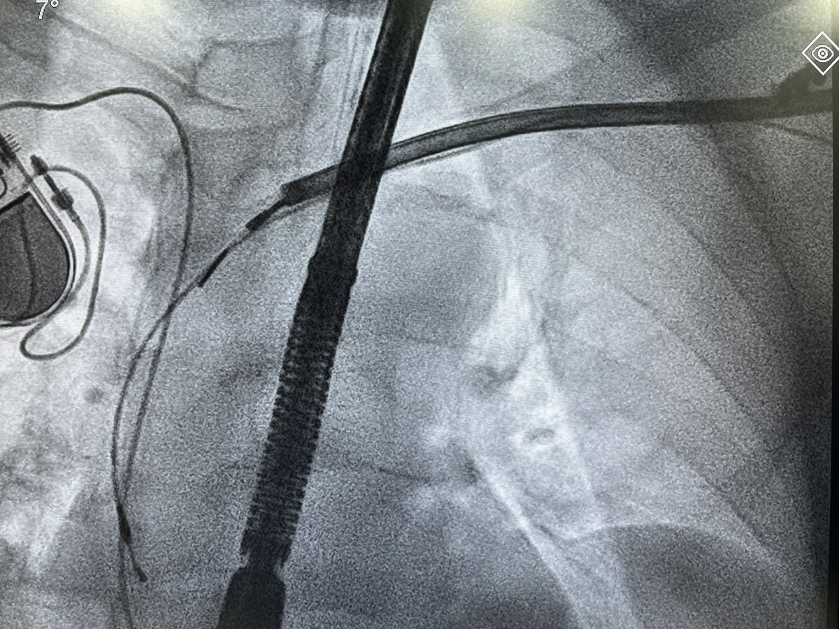 Karthigesan A M tweet media