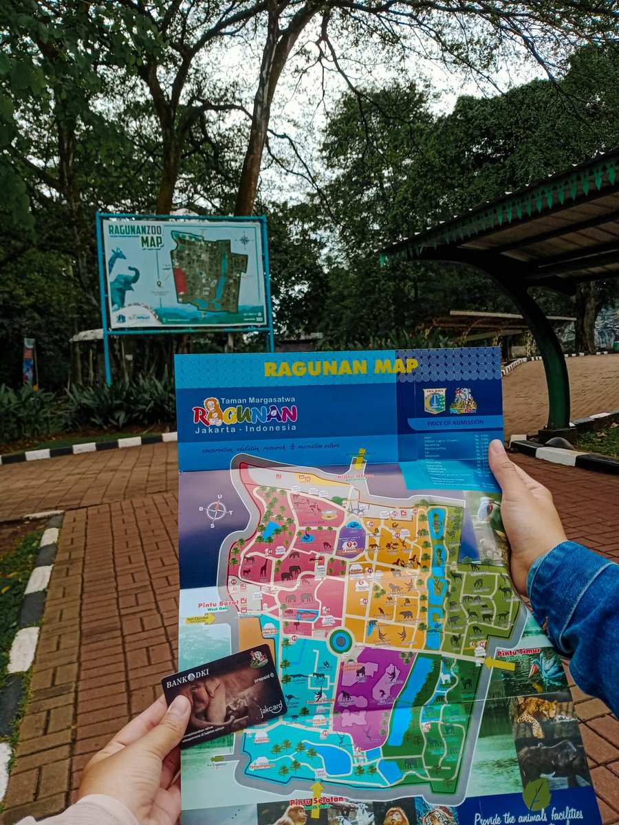 haiimatcha's tweet photo. Weekday only
📍Ragunan Zoo https://t.co/vHE8QaR5f1
