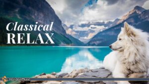 Classical Music for #Relaxation: ... 
> justthetone.com/classical-musi…
 
#2022 #ClassicalMusic #ClassicalMusicForRelaxation #ClassicalMusicMix #ClassicalMusicPlaylist #ConcentrationMusic #Halidonmusic #MusicForReading #MusicForRelaxation #MusicForStressRelief #MusicForStudying