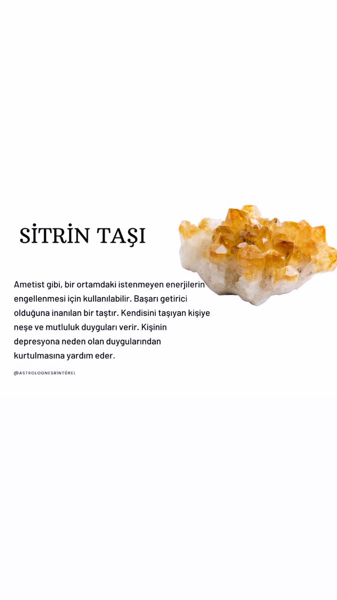 GokselRehber's tweet photo. #sitrin https://t.co/YA2dVfFzNz
