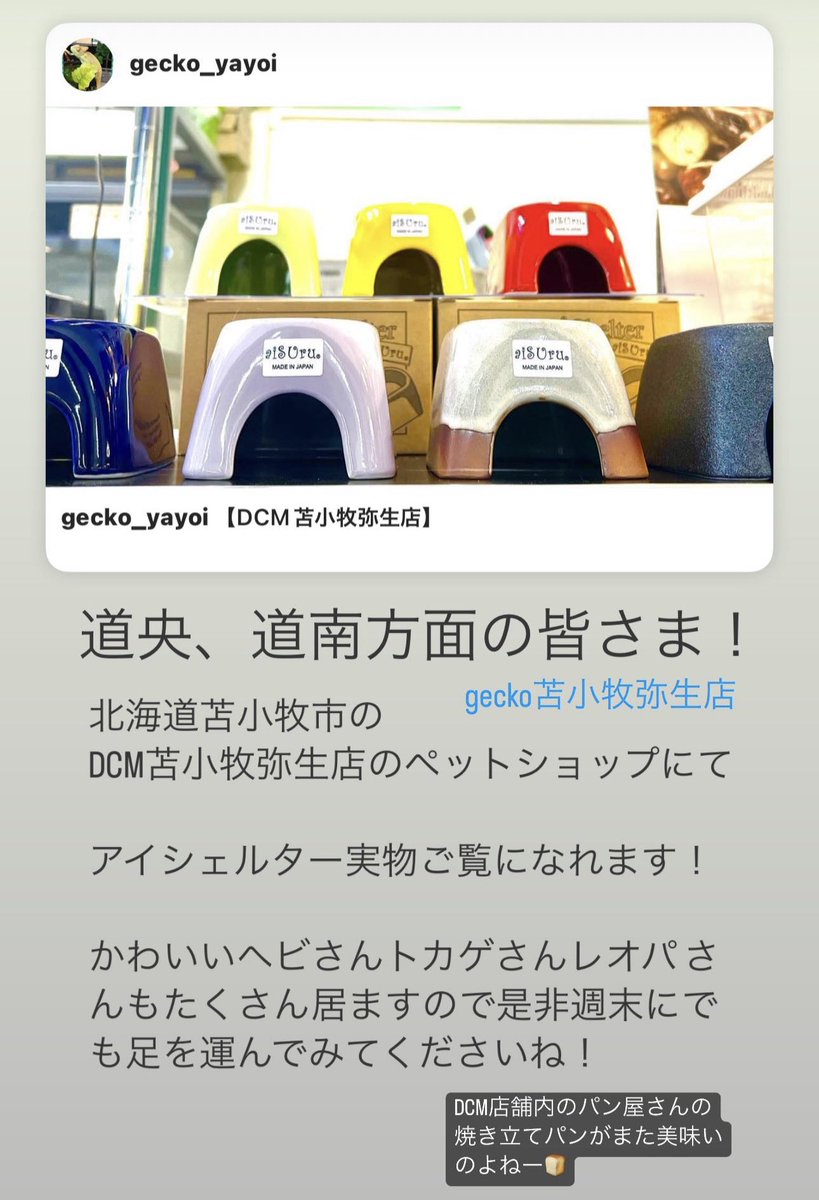 DCM苫小牧弥生店内のペットコーナー
Gecko苫小牧弥生店にて
#アイシェルター 展示販売中です！
北海道店限定カラーのナチュラルホワイトもありますので週末にでも是非！
かわいい爬虫類もたくさん居ますよ！