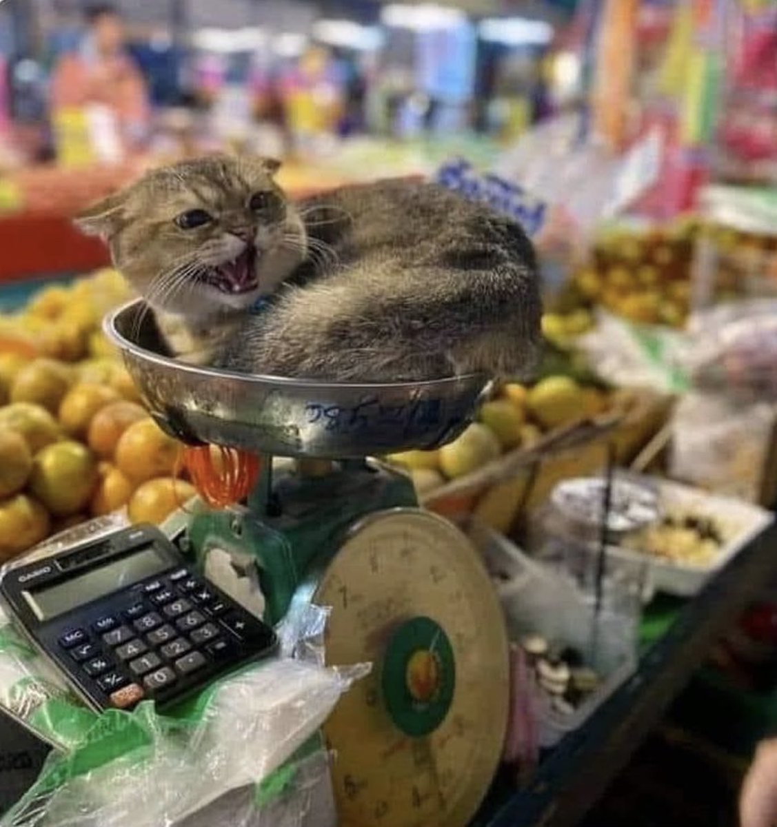 how much for the angry fruit?