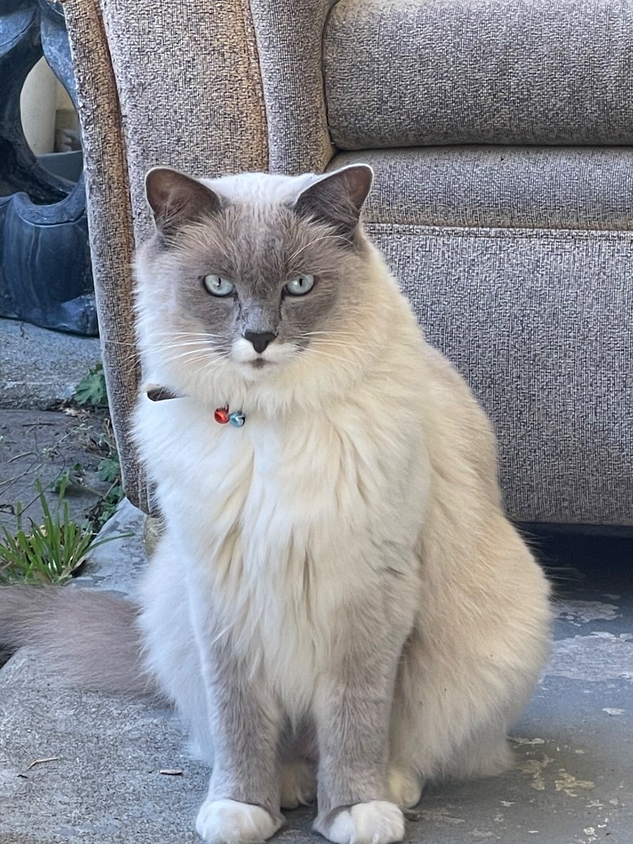 Lisa Templeton from Denheath tweet media