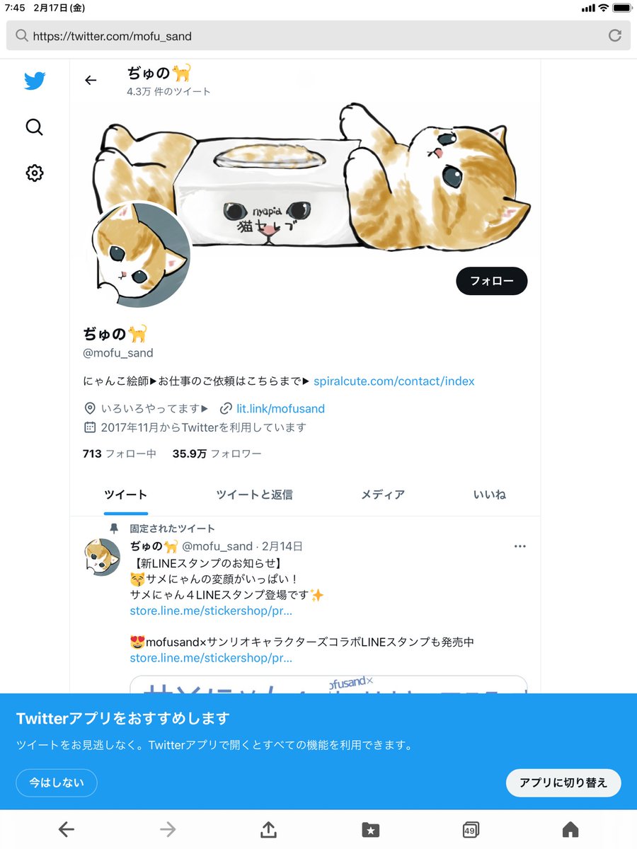 ハコティッシュ