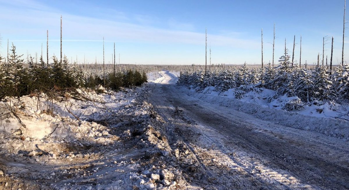 RR_Stars's tweet photo. @CygnusMetals secures more highly prospective ground next to its #Pontax lithium project in James Bay, Canada.
#Spodumene-bearing pegmatites outlined over 700m, 3 rigs turning, resource in mid-2023.
https://t.co/uaJyQngt4l
#CY5 #lithium #exploration #investors #ASXNews https://t.co/Gvir31uqEo
