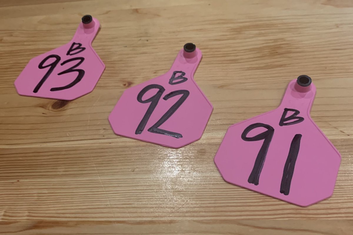 Foxfield Races tweet media