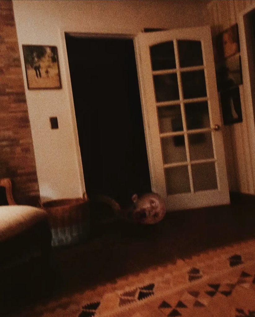 unworns's tweet photo. when will the nights be normal? https://t.co/lHSJArW7C2