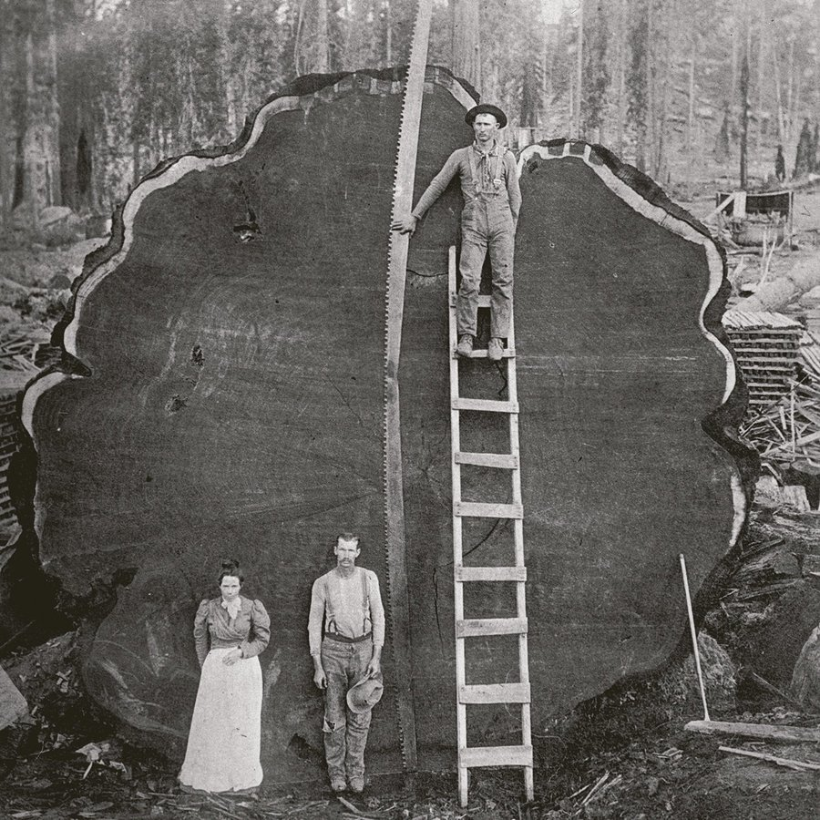 Danielle Fong 🔆 tweet media