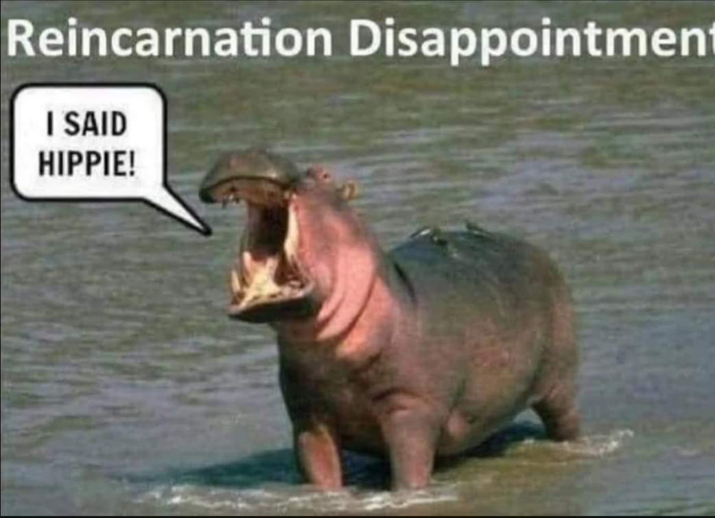 Andrew Wooster (@keepeducating) on Twitter photo 