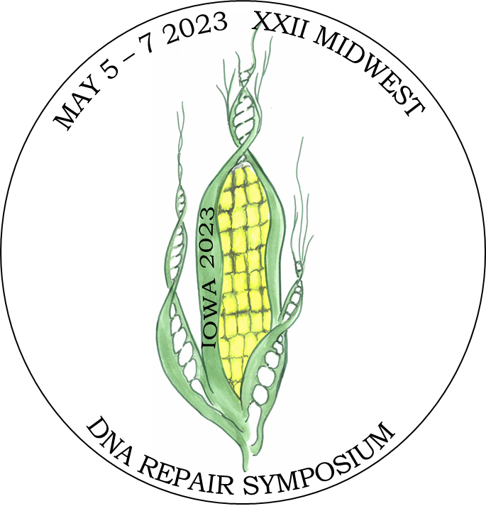 maria_spies's tweet photo. Dear Midwestern DNA repair aficionados, after Covid disruption the Midwest DNA repair symposium is finally back!
https://t.co/rDaX9fWYXk 
To be considered for a talk, you need to register by April 1st.
Anna, Sarit and I are looking forward seeing you all in Iowa City https://t.co/1uuH1LEdXp