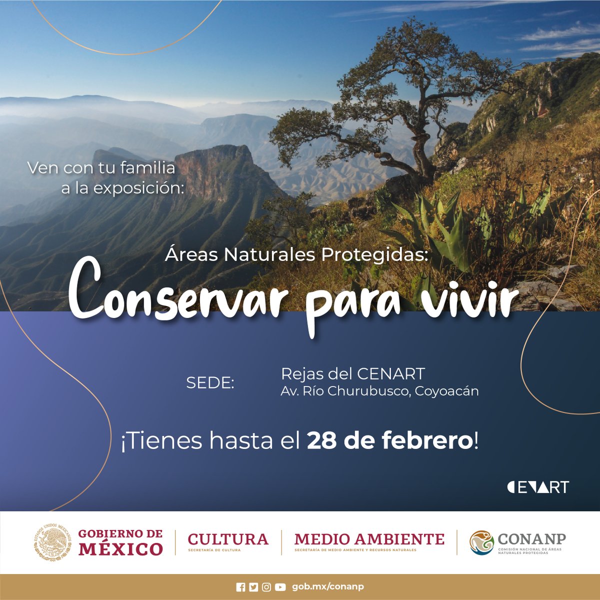CONANP_mx's tweet photo. Queda poco tiempo de la exposición "#ÁreasNaturalesProtegidas: Conservar para Vivir"! 🌲🌿🌊🏜️🐻🐸🐦🐝 📷

Visítala y conoce la riqueza natural que albergan las #ANP de México. 🇲🇽 

📍 Rejas del @cenartmx
 
#ConservarParaVivir 🦎🐙🐳🦀🪸🦇🦩🦜🍄🦬 https://t.co/sH46ighLUg