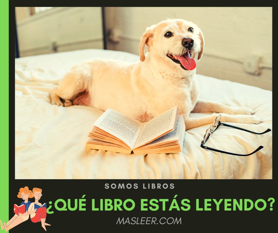 Más Leer tweet media