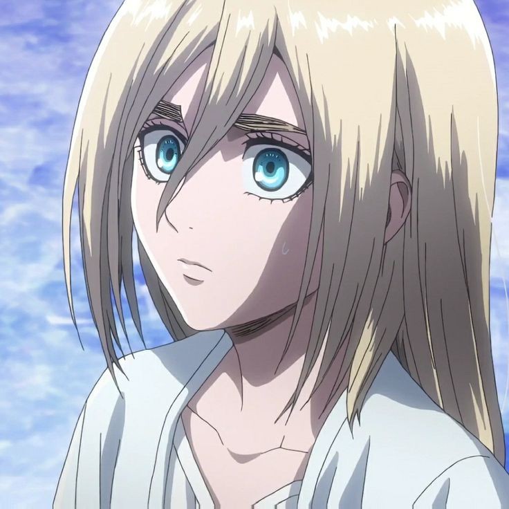 minhocretino's tweet photo. 🕷 ; ESFJ.

sakura, uraraka, historia ou leorio. https://t.co/FFKeVq6EvB