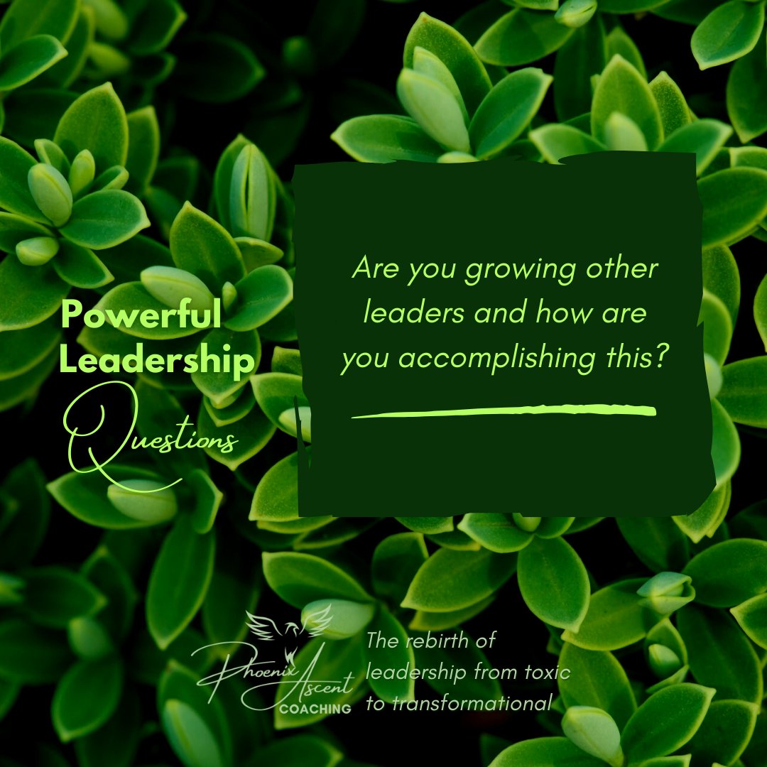 Are you growing other leaders and how are you accomplishing this? - Powerful Leadership Questions
#leadership #leadershipdevelopment #leadershipdevelopmentcoaching #coach #coaching #leadershipcoaching #leadershipcoach #questions #question #questionschallenge #Growth #growing