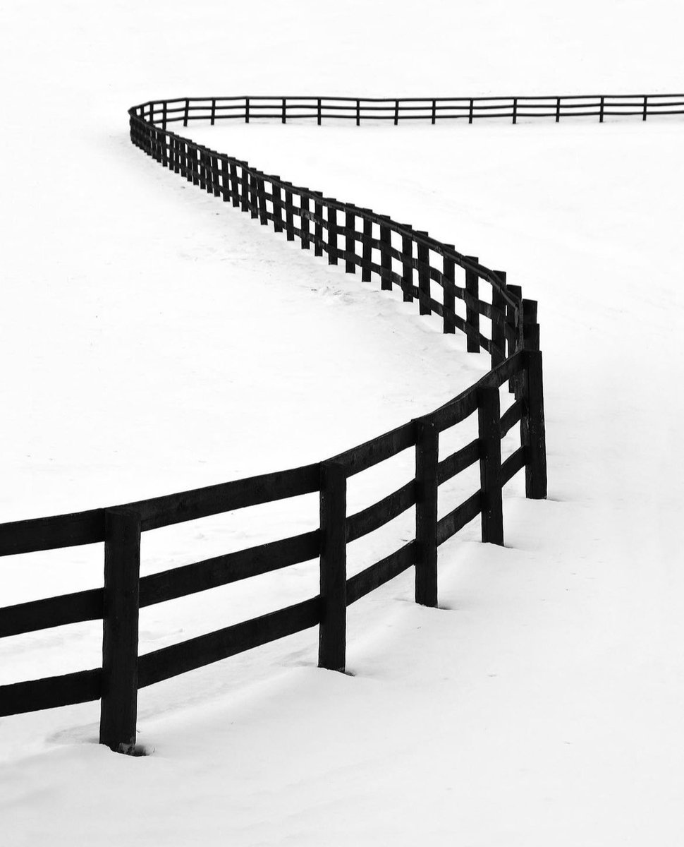 Ash O'Malley tweet media