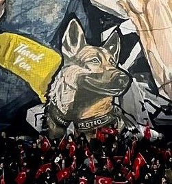 Koreo Fans Trabzonspor didedikasikan untuk menyemangati para korban &amp; menghormati para Relawan yang turun langsung membantu/rescue korban bencana Gempa Bumi Turki 🇹🇷
- Bendera Negara para Relawan
- Anjing penyelamat 🇲🇽 'Proteo' yg mati saat bertugas
- Bayi yg diselamatkan relawan