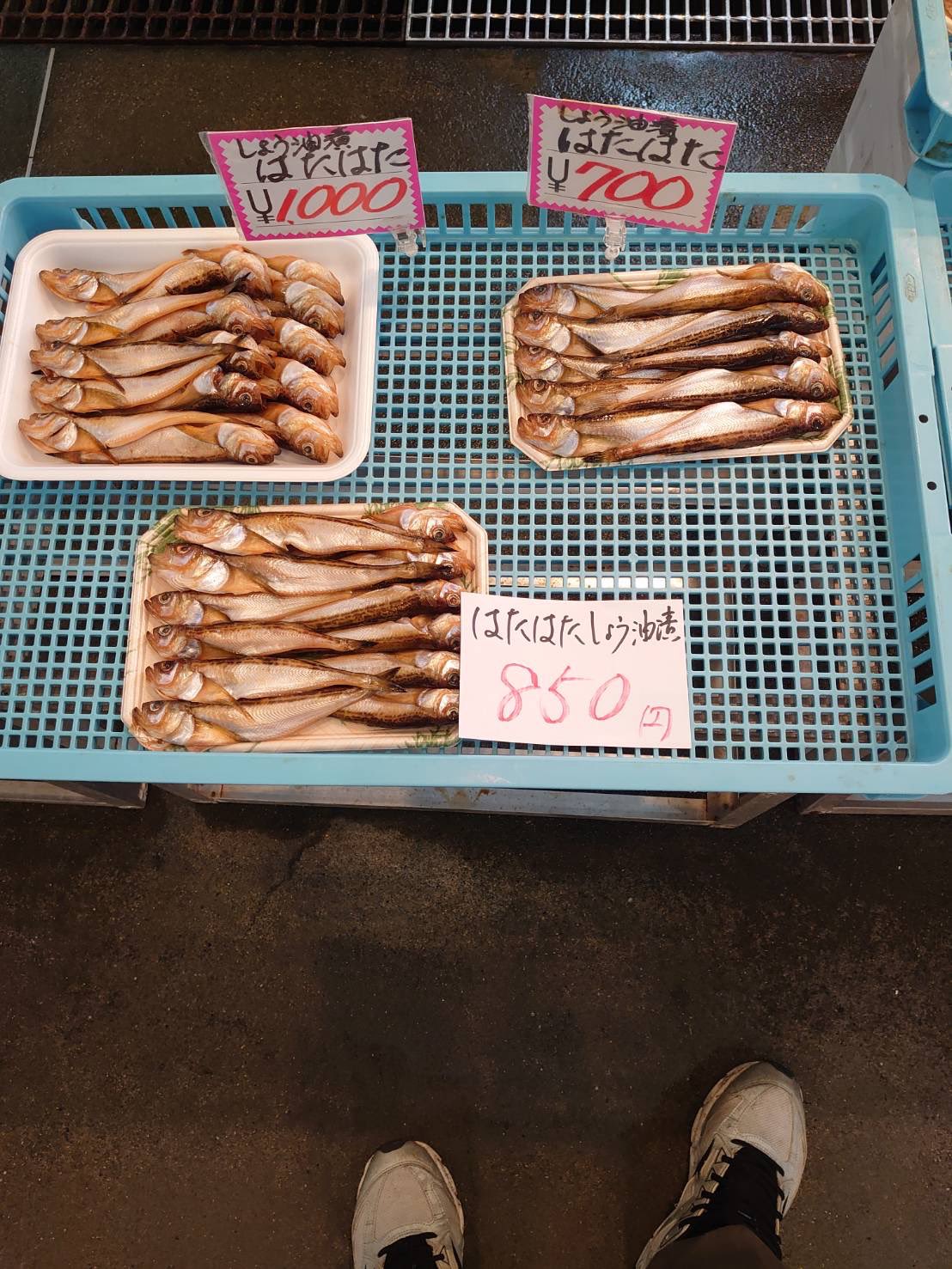 すし政本店>