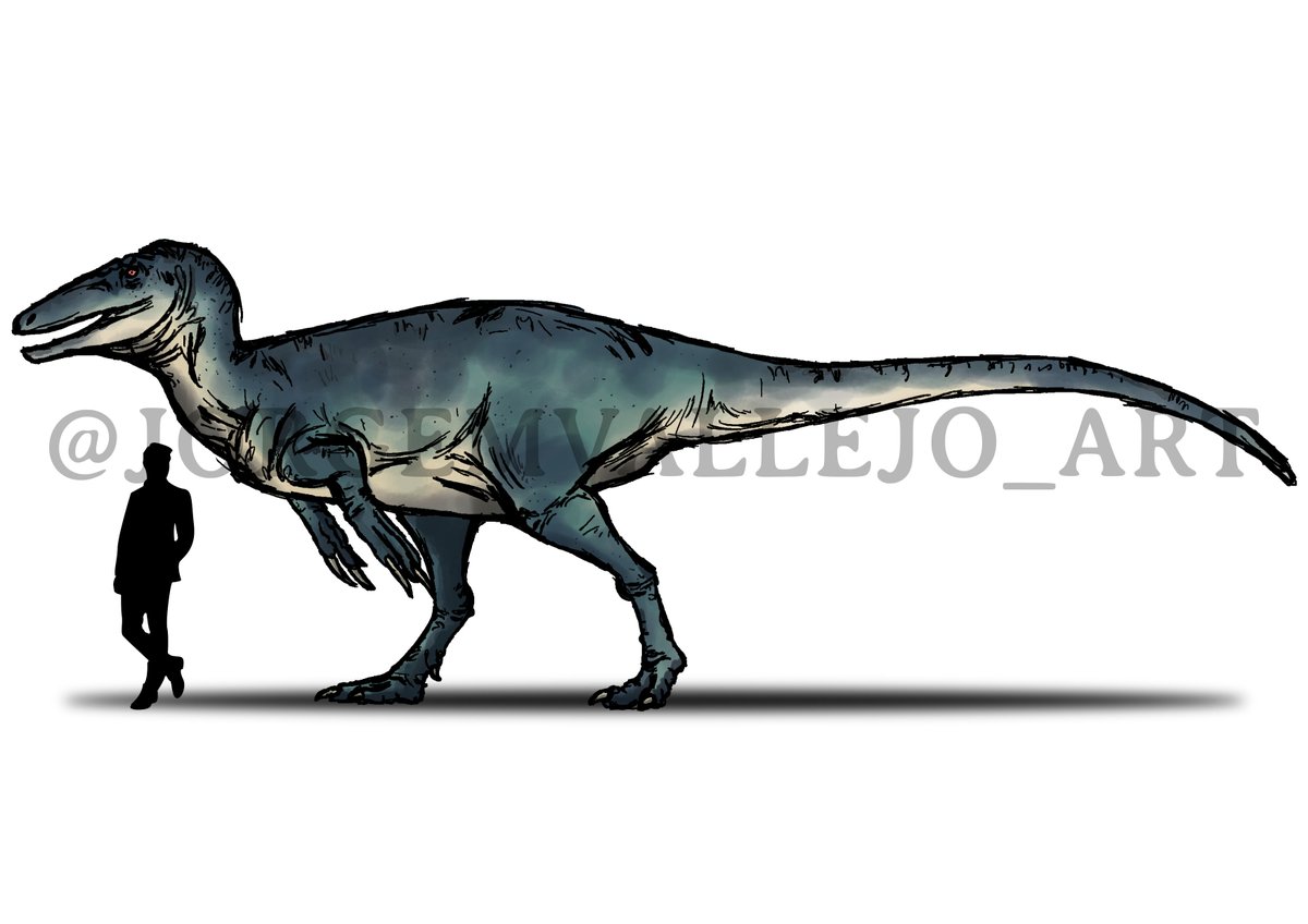 quick draw of Maip ✍️ #maip #megaraptora #paleontology #dinosaur #sciart