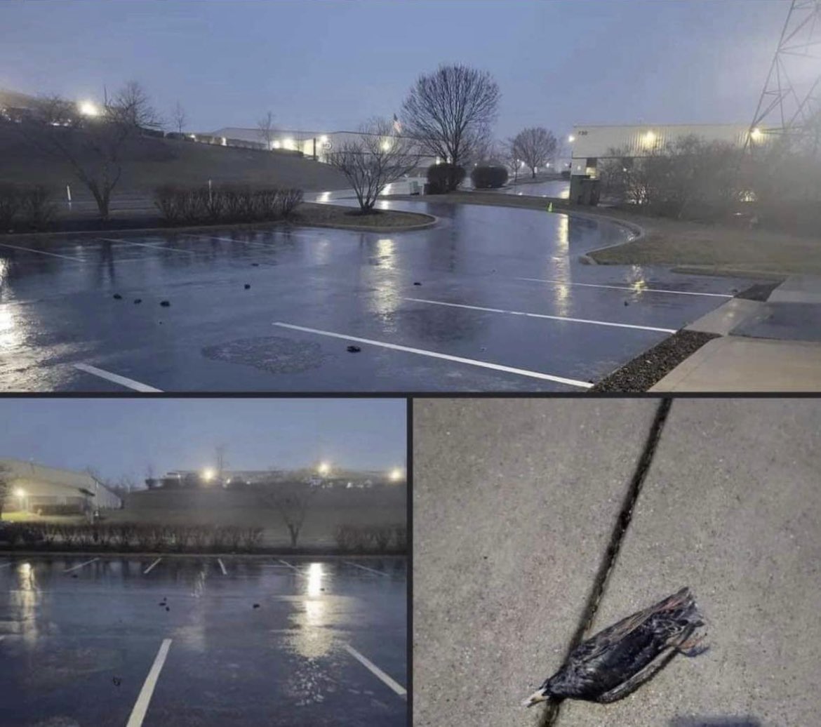 Styxhexenhammer666 on Twitter "Just swamp gas you proles."