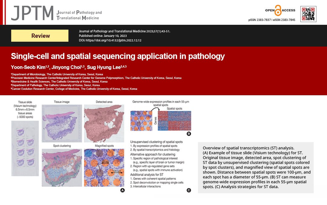 Single-cell and spatial sequencing application in pathology
Review article by Drs. Yoon-Seob Kim and colleagues. 
doi.org/10.4132/jptm.2…
#PathTwitter #molpath