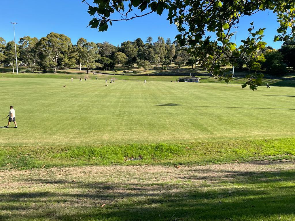 Preseason well underway for Old Geelong Football club with Lady Como looking delightful as ever. 

Needing a new local football club? Come down and join in. All playing abilities welcome - Mens and Momen's. 

Training start 6pm Monday &amp; Wednesday at Como park South Yarra.