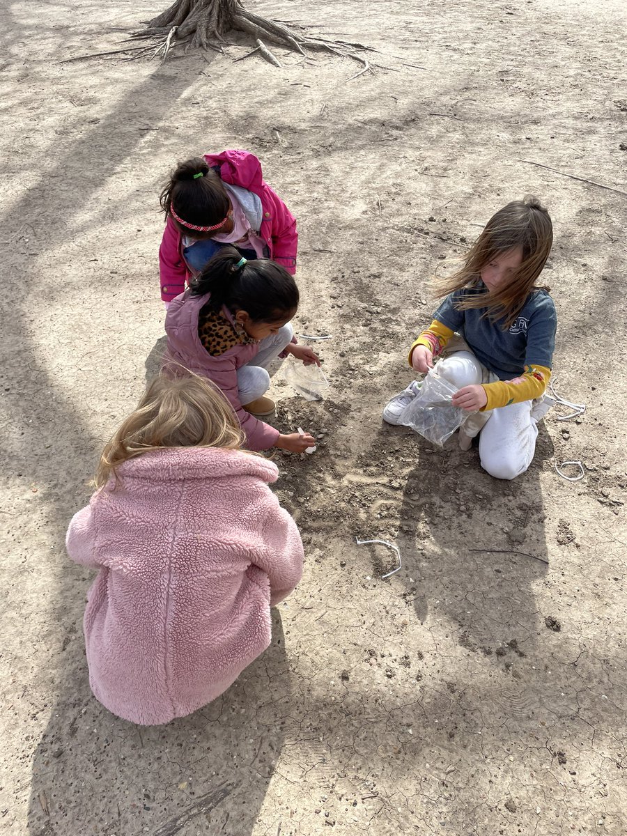 ChristyYowell's tweet photo. K3 thoroughly enjoyed collecting soil samples today! They didn’t even mind the cold, windy conditions. True scientists! #Wilsonway https://t.co/qwjEEzUq6P