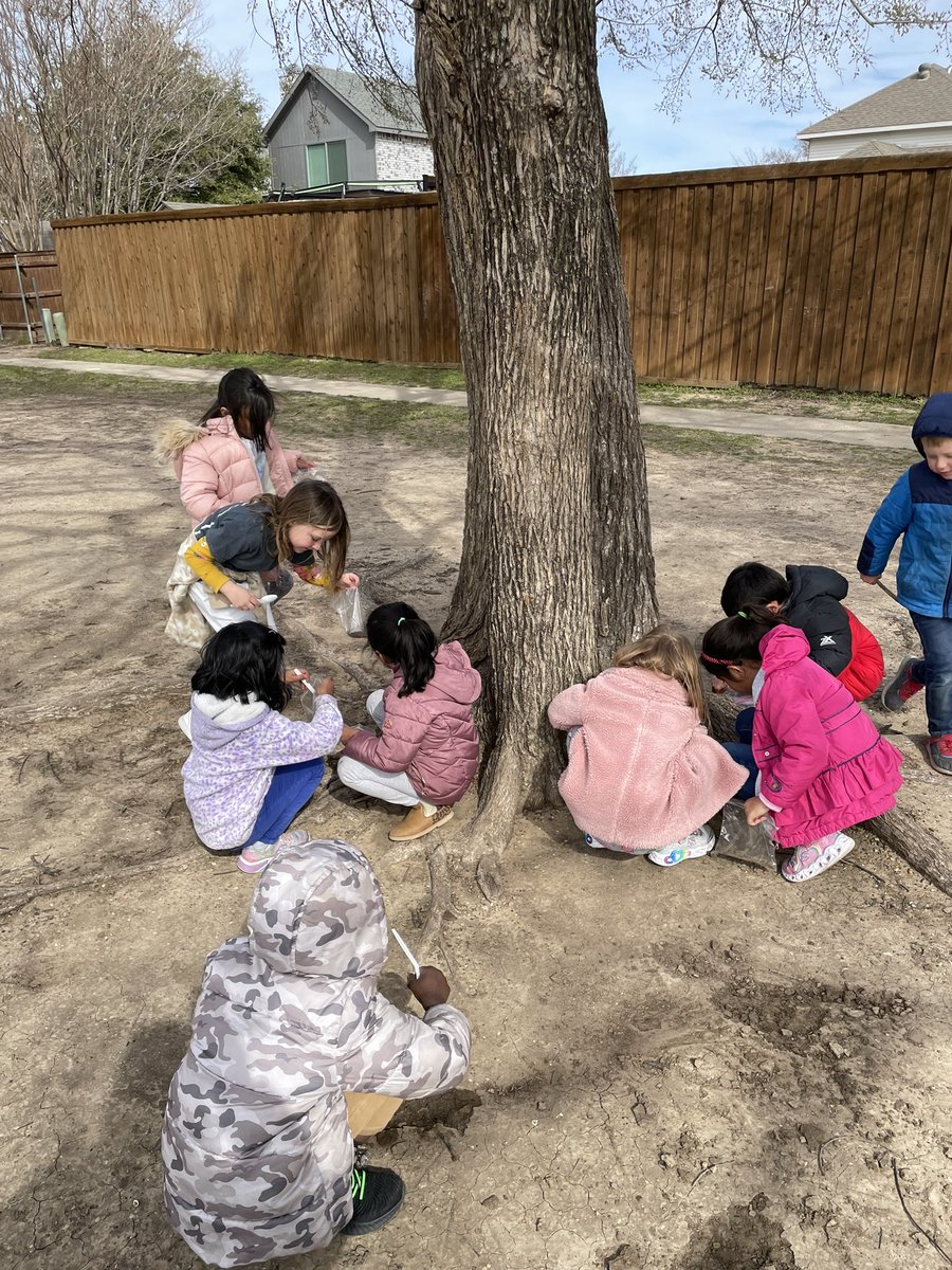 ChristyYowell's tweet photo. K3 thoroughly enjoyed collecting soil samples today! They didn’t even mind the cold, windy conditions. True scientists! #Wilsonway https://t.co/qwjEEzUq6P